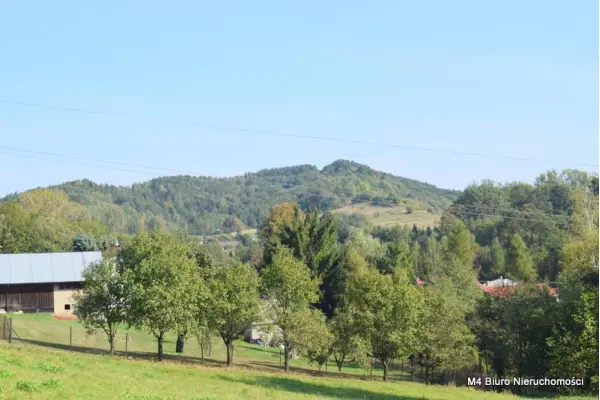 podkarpackie, krośnieński, Wojaszówka, Łęki Strzyżowskie, Działka budowlana pod siedlisko oraz pod fotowoltaikę (1,91ha)