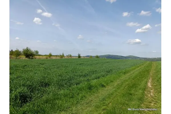 Krosno, Piekne 3 widokowe działki rolne w Krośnie.