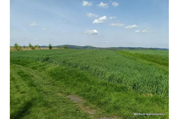 Krosno, Piekne 3 widokowe działki rolne w Krośnie.