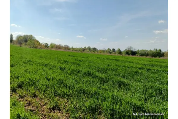 Krosno, Piekne 3 widokowe działki rolne w Krośnie.