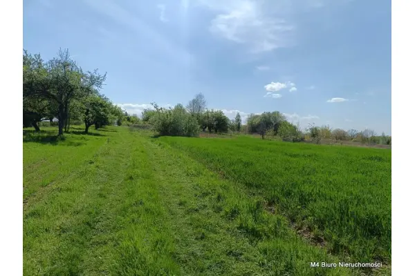 Krosno, Piekne 3 widokowe działki rolne w Krośnie.