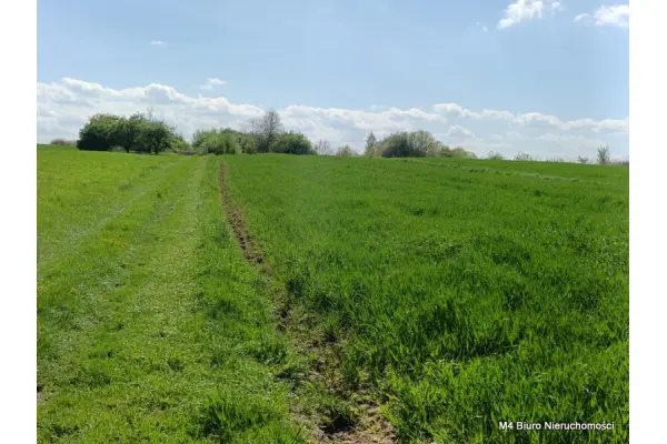 Krosno, Piekne 3 widokowe działki rolne w Krośnie.