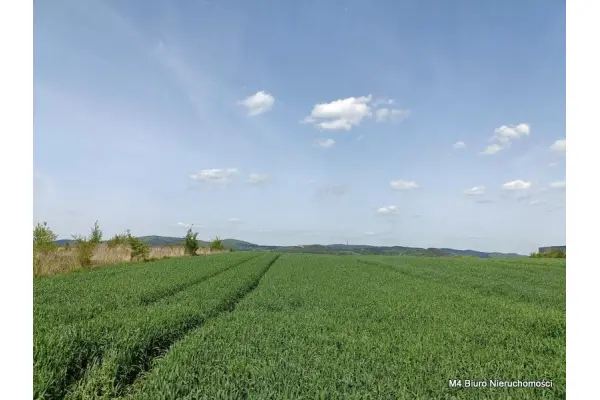 Krosno, Piekne 3 widokowe działki rolne w Krośnie.