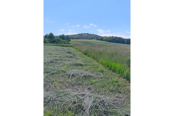 strzyżowski, Niebylec, Lutcza, Widokowa działka budowlana- 20 arów, Lutcza.
