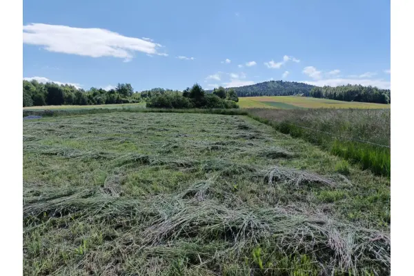 strzyżowski, Niebylec, Lutcza, Widokowa działka budowlana- 20 arów, Lutcza.