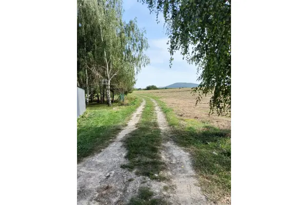 sanocki, Sanok, Lalin, Lalin -  działka idealna pod domki letniskowe