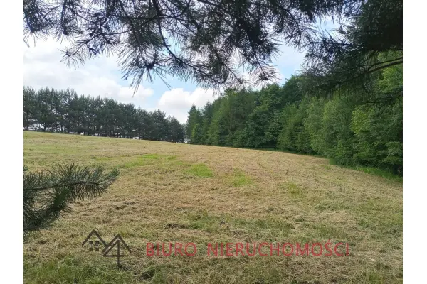 sanocki, Sanok, Lalin, Lalin -  działka idealna pod domki letniskowe