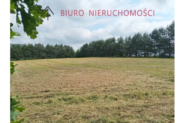 sanocki, Sanok, Lalin, Lalin -  działka idealna pod domki letniskowe
