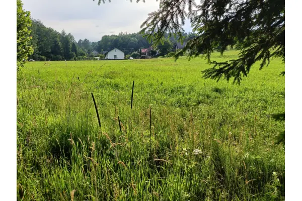 podkarpackie, brzozowski, Jasienica Rosielna, Orzechówka, Orzechówka 3 działki pod Twój nowy dom.