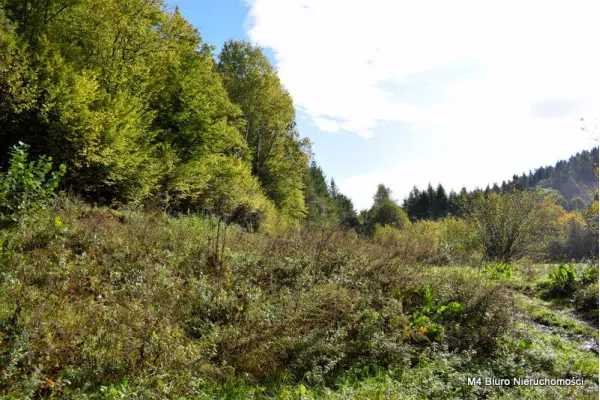 krośnieński, Rymanów, Rymanów-Zdrój, Działka z Planem Zagospodarowania w Rymanowie Zdr.