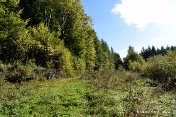 krośnieński, Rymanów, Rymanów-Zdrój, Działka z Planem Zagospodarowania w Rymanowie Zdr.
