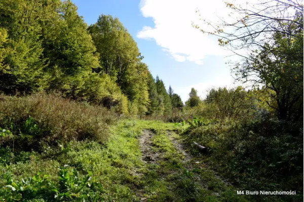 krośnieński, Rymanów, Rymanów-Zdrój, Działka z Planem Zagospodarowania w Rymanowie Zdr.