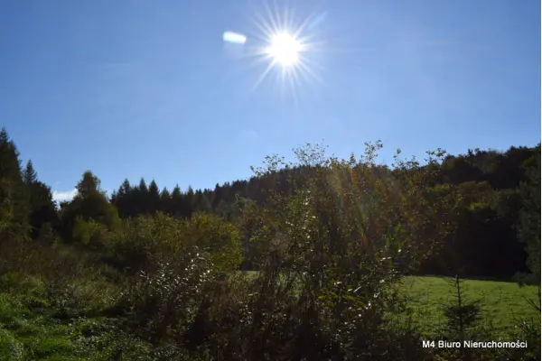 krośnieński, Rymanów, Rymanów-Zdrój, Działka z Planem Zagospodarowania w Rymanowie Zdr.