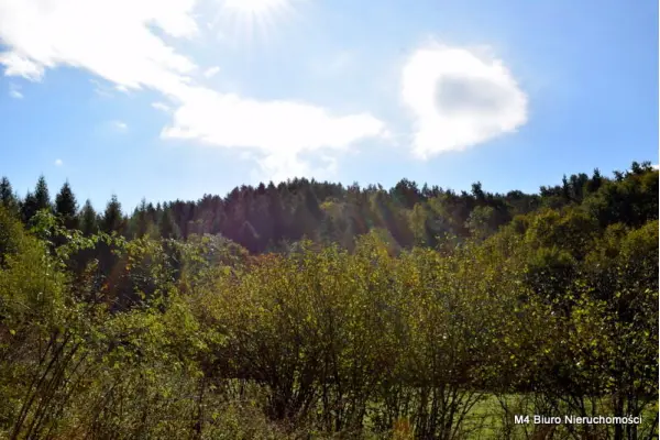 krośnieński, Rymanów, Rymanów-Zdrój, Działka z Planem Zagospodarowania w Rymanowie Zdr.