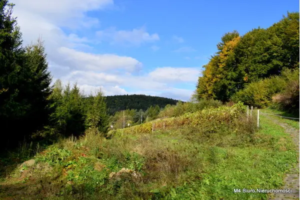 krośnieński, Rymanów, Rymanów-Zdrój, Działka z Planem Zagospodarowania w Rymanowie Zdr.