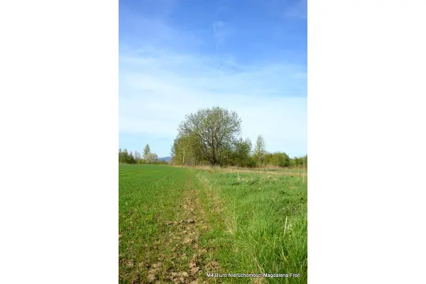 podkarpackie, Krosno, Działka z warunkami zabudowy w Krośnie.