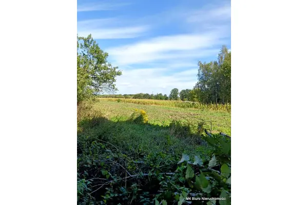 bocheński, Rzezawa, Jodłówka, Dom w Jodłówce woj. małopolskie idealne pod biznes!