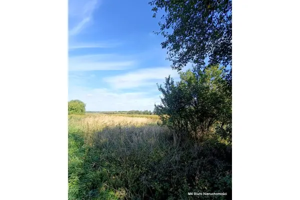 bocheński, Rzezawa, Jodłówka, Dom w Jodłówce woj. małopolskie idealne pod biznes!